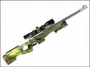 Arctic Warfare Magnum